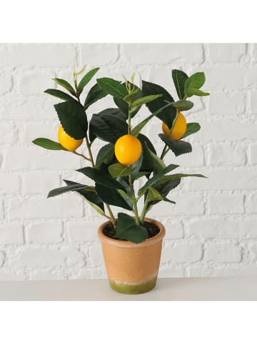 Boltze Kunstpflanze "Zitrone" in Gelb/ Grün - (H)32 cm