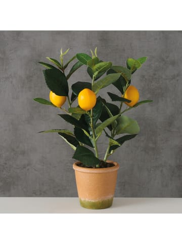 Boltze Kunstpflanze "Zitrone" in Gelb/ Grün - (H)32 cm