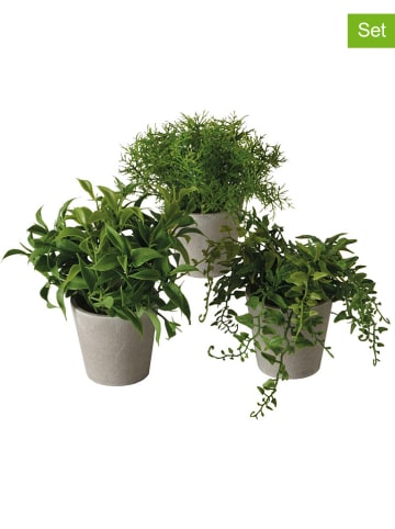 Boltze 3-delige set: kunstplanten "Varen" groen/grijs - (H)17 cm
