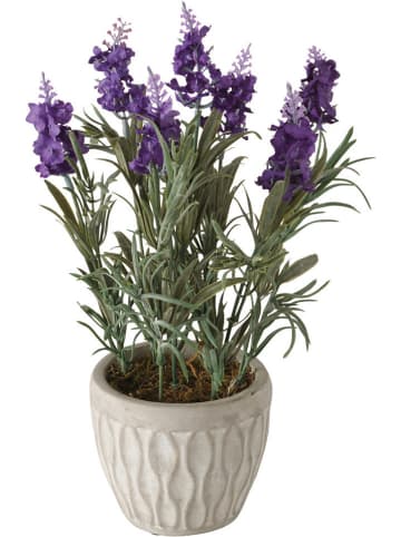 Boltze Kunstplant "Lavendel" paars - (H)32 cm
