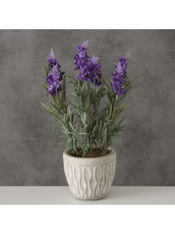 Boltze Kunstplant "Lavendel" paars - (H)32 cm