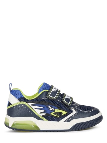 Geox Sneakers "Inek" groen/donkerblauw