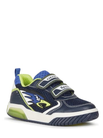 Geox Sneakers "Inek" in Grün/ Dunkelblau