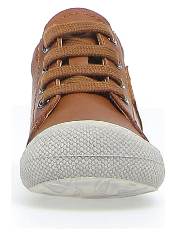 Naturino Leder-Sneakers "Tail" in Hellbraun