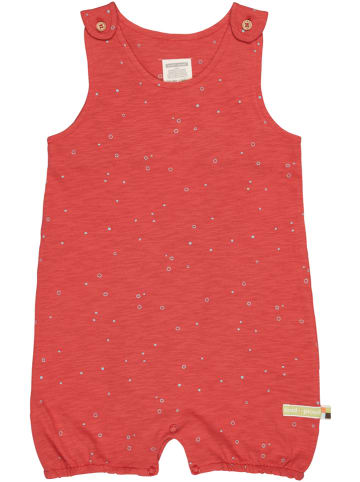 loud + proud Pakje rood