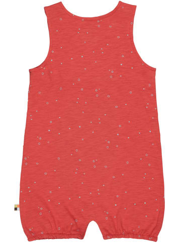 loud + proud Pakje rood