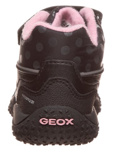 Geox Boots in Schwarz/ Rosa
