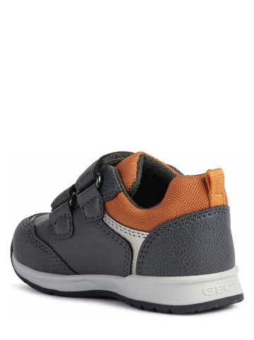 Geox Sneakers in Grau/ Orange