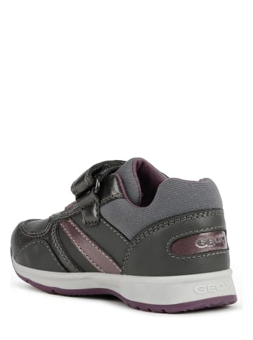 Geox Sneakers in Grau