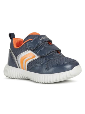 Geox Sneakers blauw/oranje