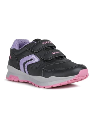Geox Sneakers in Schwarz/ Lila