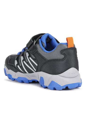 Geox Sneakers in Dunkelblau