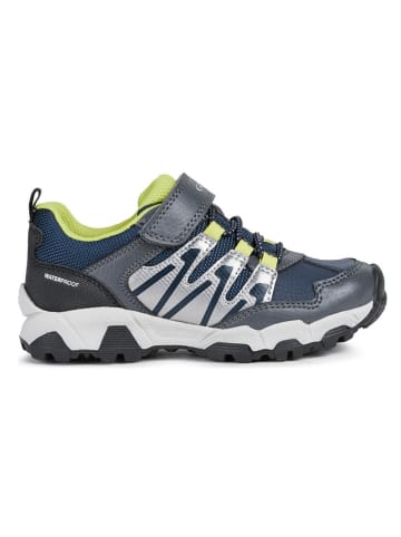 Geox Sneakers in Dunkelblau/ Grau