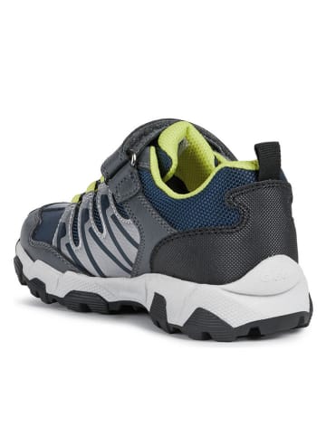 Geox Sneakers donkerblauw/grijs