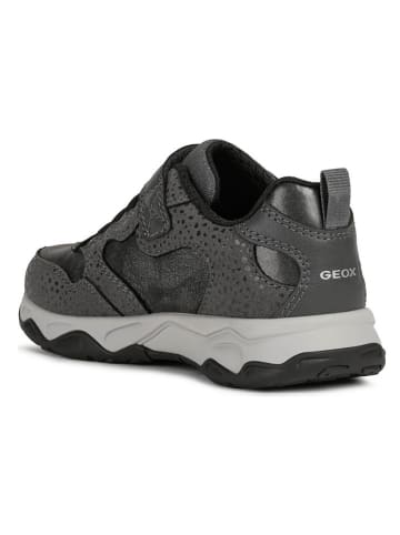 Geox Sneakers in Anthrazit