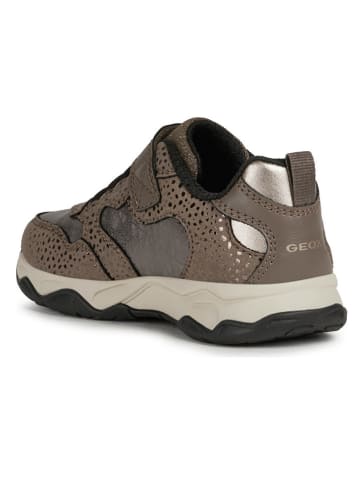 Geox Sneakers bruin/donkergrijs