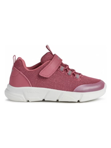 Geox Sneakersy w kolorze różowym