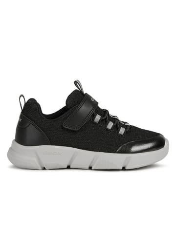 Geox Sneakers in Schwarz