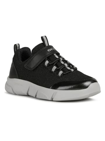 Geox Sneakers in Schwarz