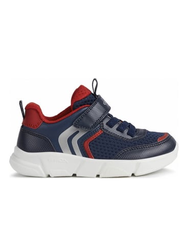 Geox Sneakers in Dunkelblau/ Rot