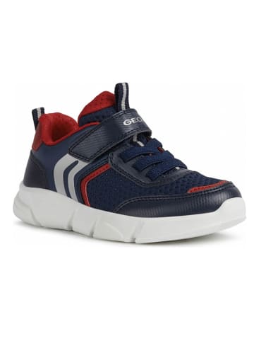 Geox Sneakers in Dunkelblau/ Rot