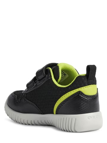 Geox Sneakers zwart/geel
