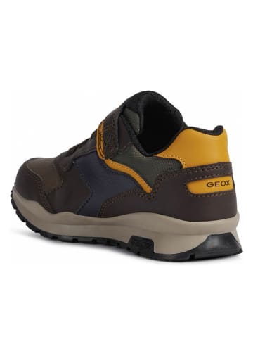 Geox Sneakers in Braun/ Dunkelblau/ Gelb