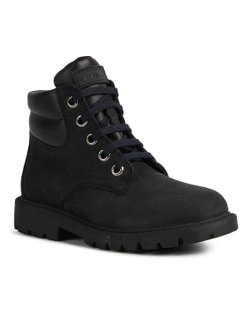 Geox Boots donkerblauw