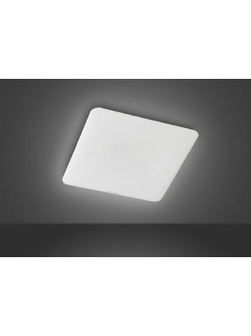 FISCHER & HONSEL Ledplafonnière "Aldo" wit - (B)53 x (D)53 cm