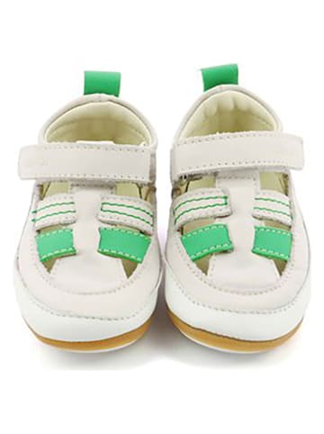 Robeez Skórzane buty "Miniz" w kolorze beżowo-zielonym do raczkowania