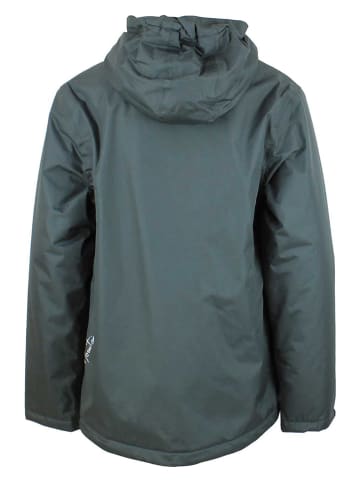 Peak Mountain Funktionsjacke "Cajik" in Grau