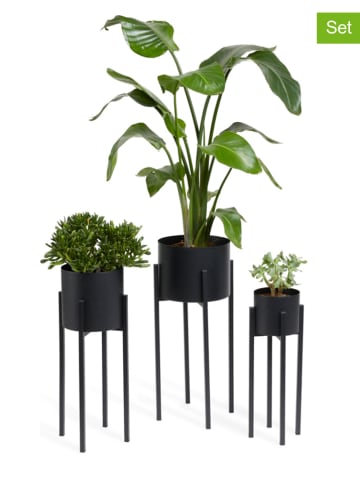 Lifa Living 3-delige set: plantenstandaards "Lotus" zwart