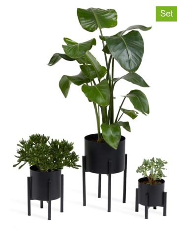 Lifa Living 3-delige set: plantenstandaards "Lotus" zwart