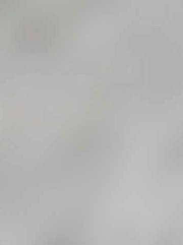 ESPRIT Rajstopy w kolorze jasnoszarym