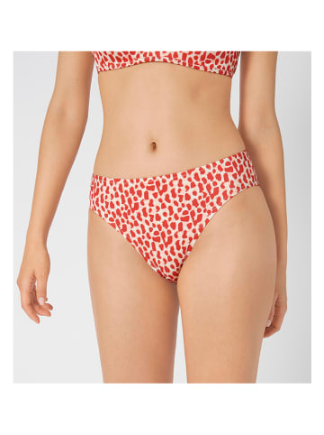 Sloggi Bikini-Hose in Rot/ Weiß