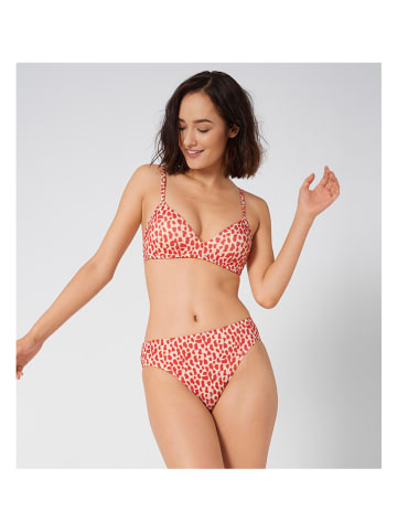Sloggi Bikini-Hose in Rot/ Weiß