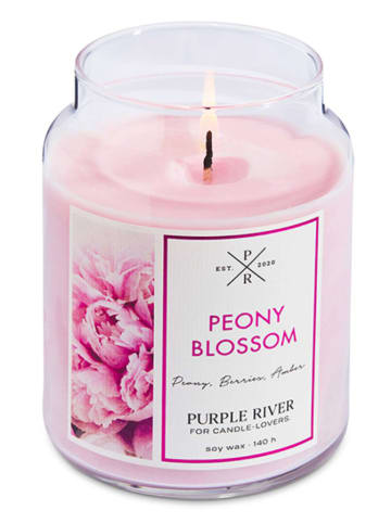 Purple River Duftkerze "Peony Blossom" in Rosa - 623 g