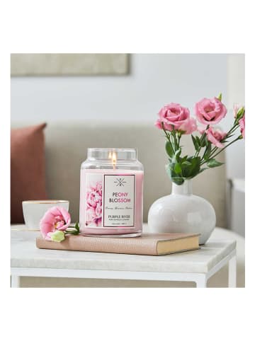 Purple River Duftkerze "Peony Blossom" in Rosa - 623 g