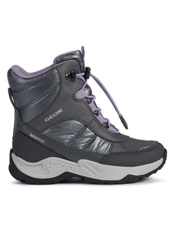 Geox Winterboots "Sentiero" in Anthrazit/ Lila