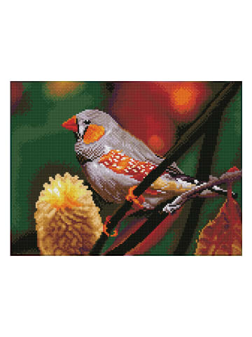 DIAMOND DOTZ Zestaw kreatywny "Gouldian Finch - Diamond Dotz®" - 8+