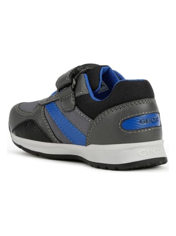 Geox Sneakers "Pavlis" grijs/blauw