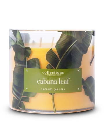 Colonial Candle Geurkaars "Tropic Cabana Leaf geel/groen - 411 g