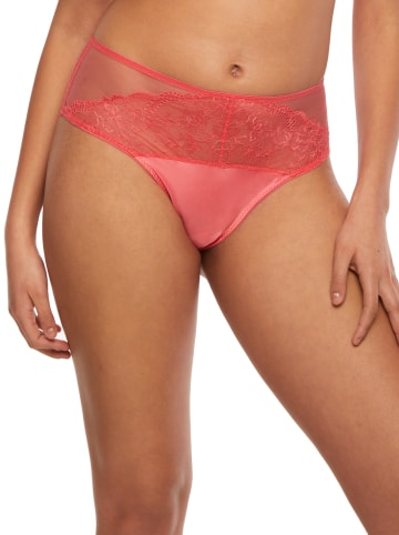 Kinga Taillenpanty in Koralle