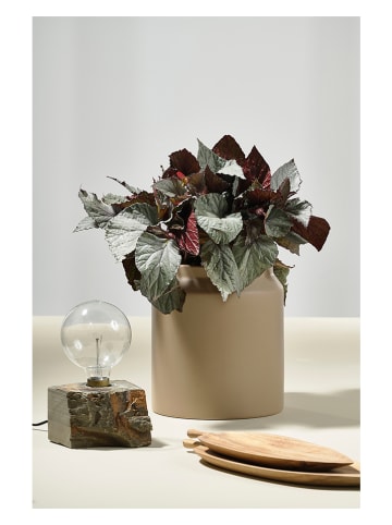 Villa Collection Servierplatte in Hellbraun - (L)38 x (B)15 cm