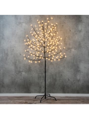 Hollybell LED-Kirschbaum in Warmweiß - (H)150 cm