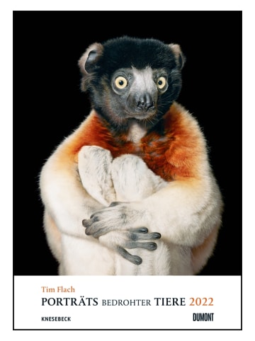 NEUMANNVERLAGE Fotokalender "Porträts bedrohter Tiere 2022"