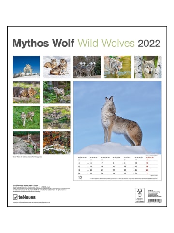NEUMANNVERLAGE Fotokalender "Mythos Wolf 2022"