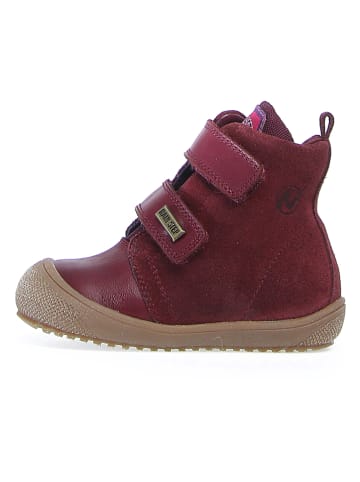 Naturino Boots bordeaux