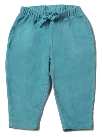 Little Green Radicals Spodnie sztruksowe w kolorze błękitnym
