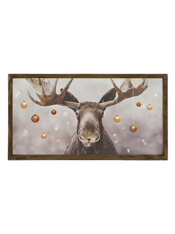 Colorful Cotton Kunstdruk op hout - (B)50 x (H)25 cm